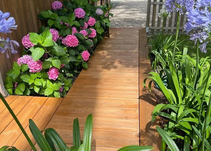 Βίλα 19 Biscarrosse